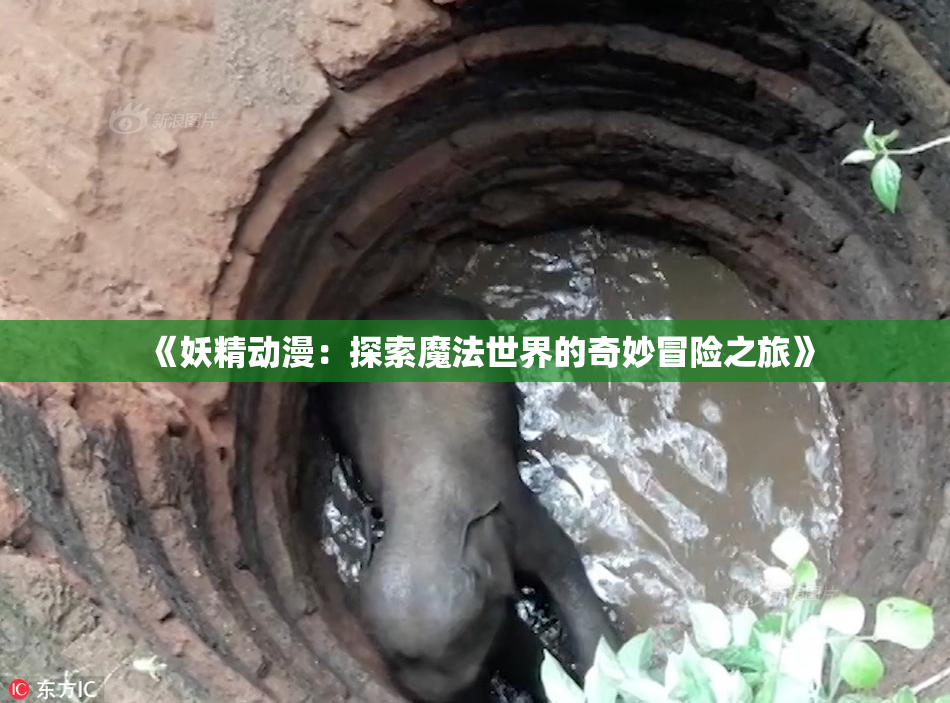 《妖精动漫：探索魔法世界的奇妙冒险之旅》