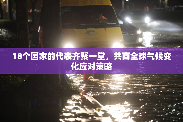 18个国家的代表齐聚一堂，共商全球气候变化应对策略