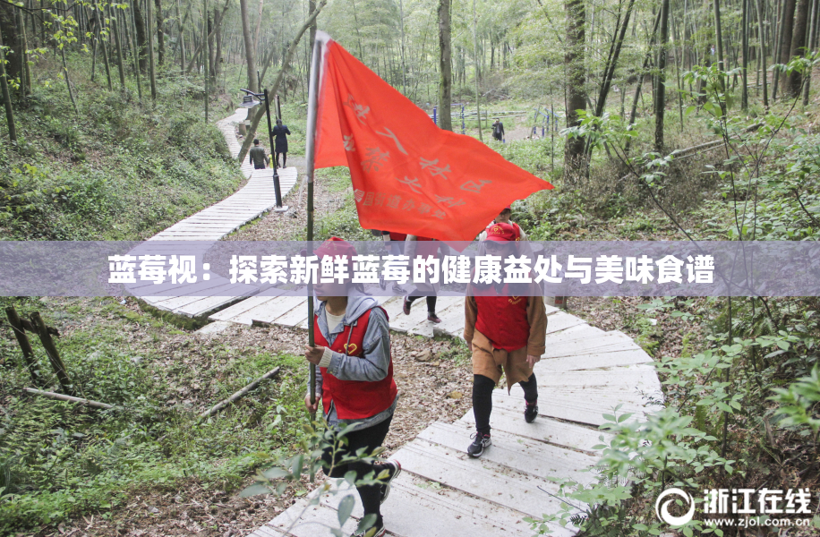 蓝莓视：探索新鲜蓝莓的健康益处与美味食谱