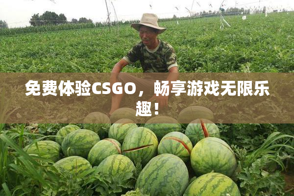 免费体验CSGO，畅享游戏无限乐趣！