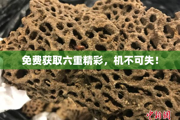 免费获取六重精彩，机不可失！