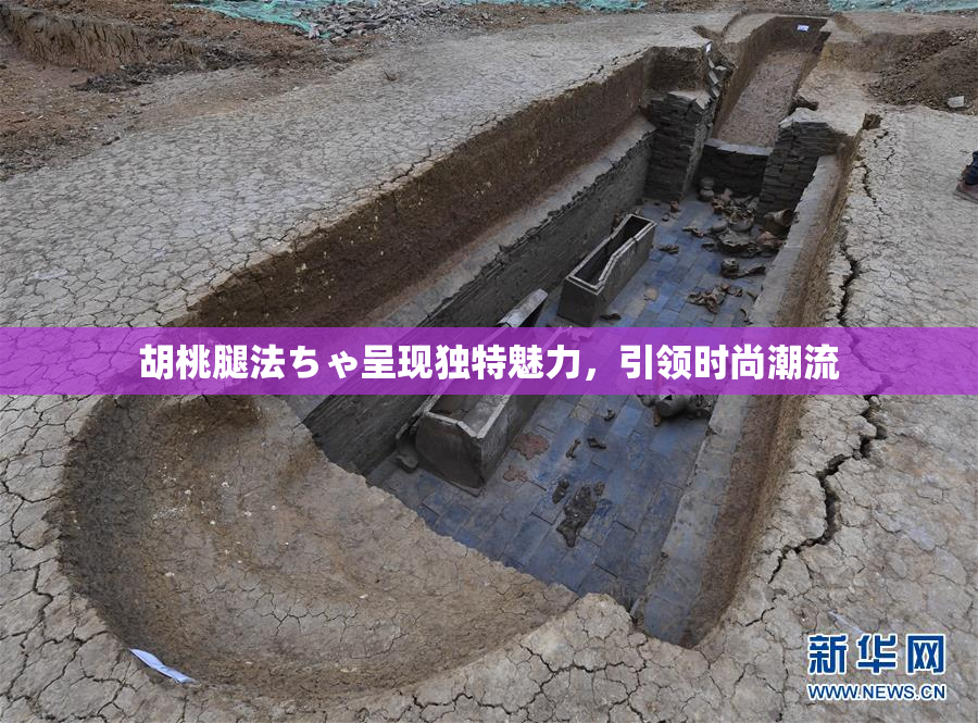 胡桃腿法ちゃ呈现独特魅力，引领时尚潮流