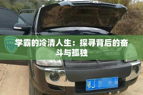 学霸的冷清人生：探寻背后的奋斗与孤独