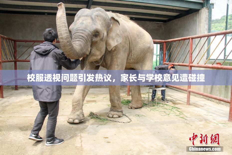 校服透视问题引发热议，家长与学校意见遭碰撞