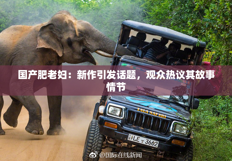 国产肥老妇：新作引发话题，观众热议其故事情节