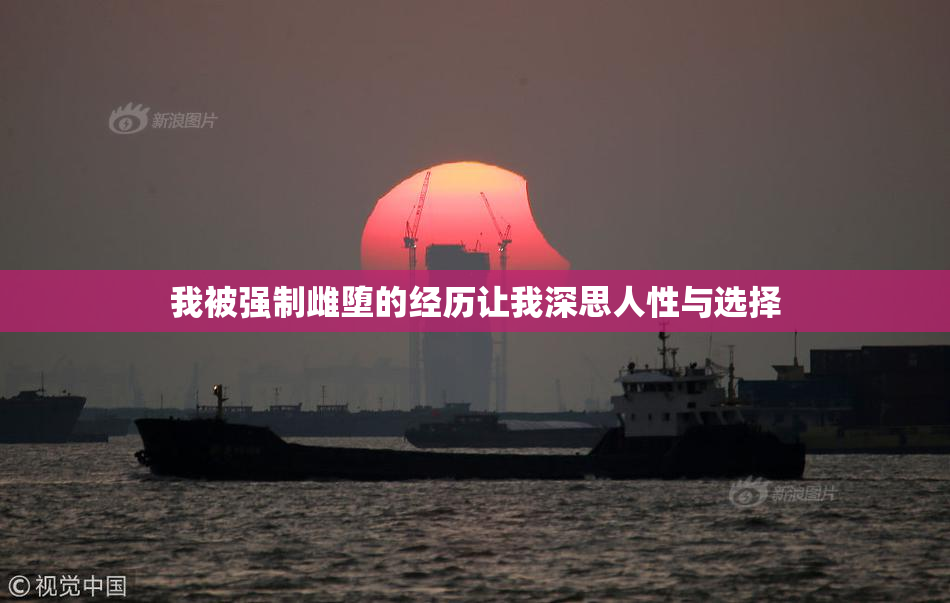 我被强制雌堕的经历让我深思人性与选择