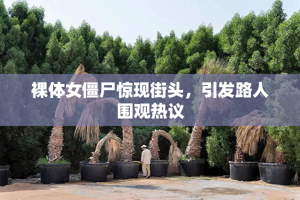 裸体女僵尸惊现街头，引发路人围观热议