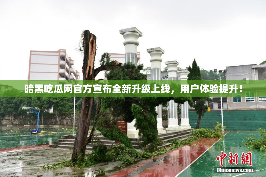 暗黑吃瓜网官方宣布全新升级上线，用户体验提升！