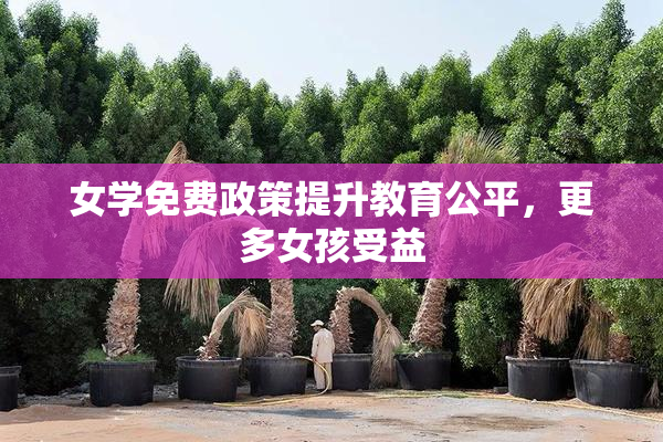 女学免费政策提升教育公平，更多女孩受益