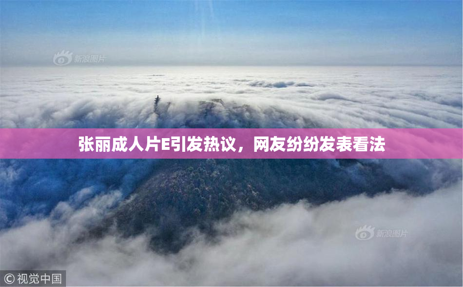 张丽成人片E引发热议，网友纷纷发表看法