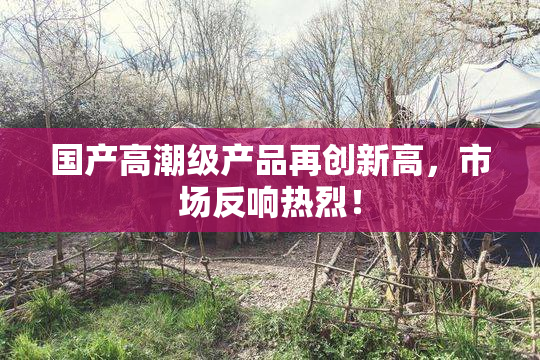 国产高潮级产品再创新高，市场反响热烈！