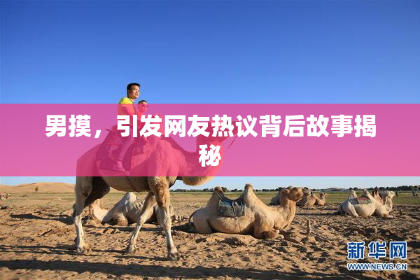 男摸，引发网友热议背后故事揭秘
