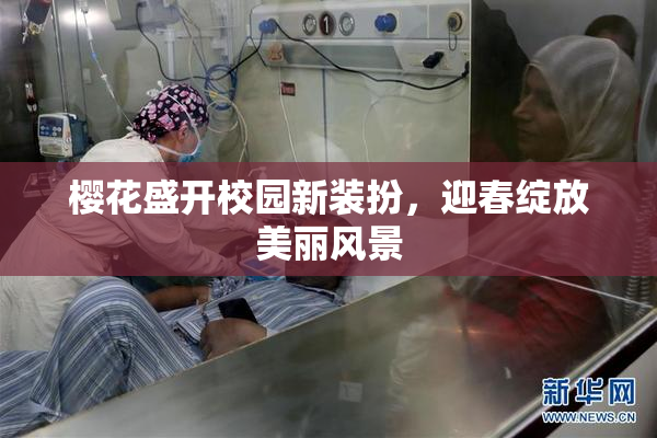 樱花盛开校园新装扮，迎春绽放美丽风景