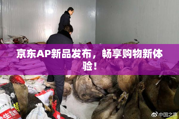 京东AP新品发布，畅享购物新体验！