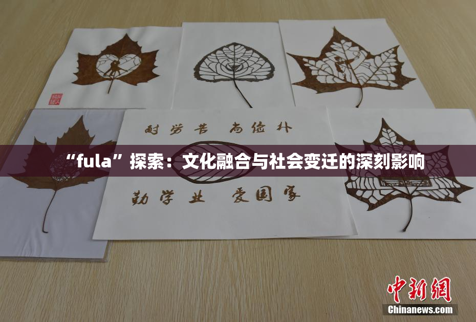 “fula”探索：文化融合与社会变迁的深刻影响