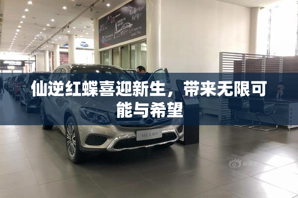 仙逆红蝶喜迎新生，带来无限可能与希望
