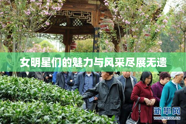 女明星们的魅力与风采尽展无遗