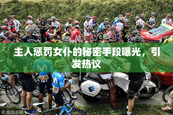 主人惩罚女仆的秘密手段曝光，引发热议