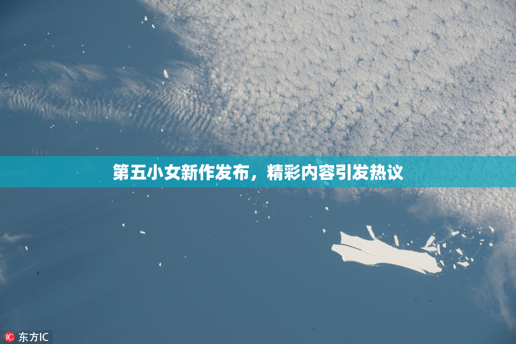第五小女新作发布，精彩内容引发热议