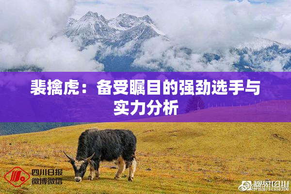 裴擒虎：备受瞩目的强劲选手与实力分析