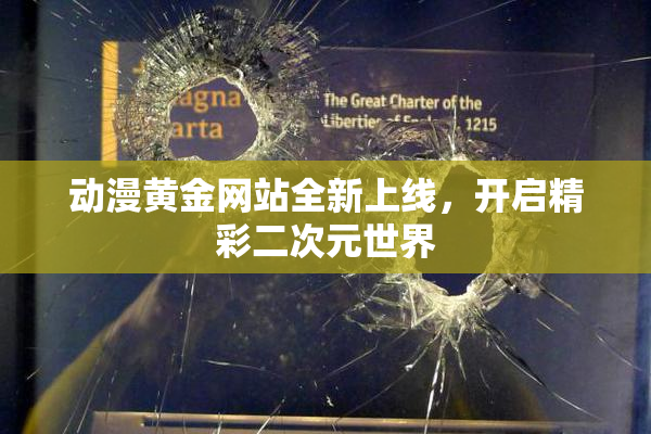 动漫黄金网站全新上线，开启精彩二次元世界