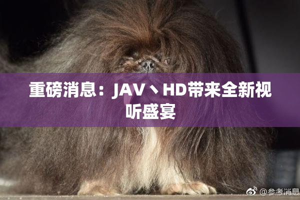 重磅消息：JAV丶HD带来全新视听盛宴