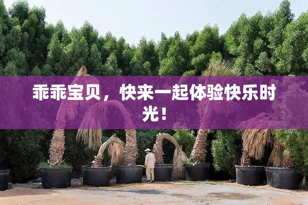 乖乖宝贝，快来一起体验快乐时光！