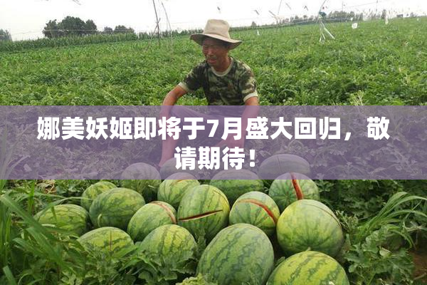 娜美妖姬即将于7月盛大回归，敬请期待！