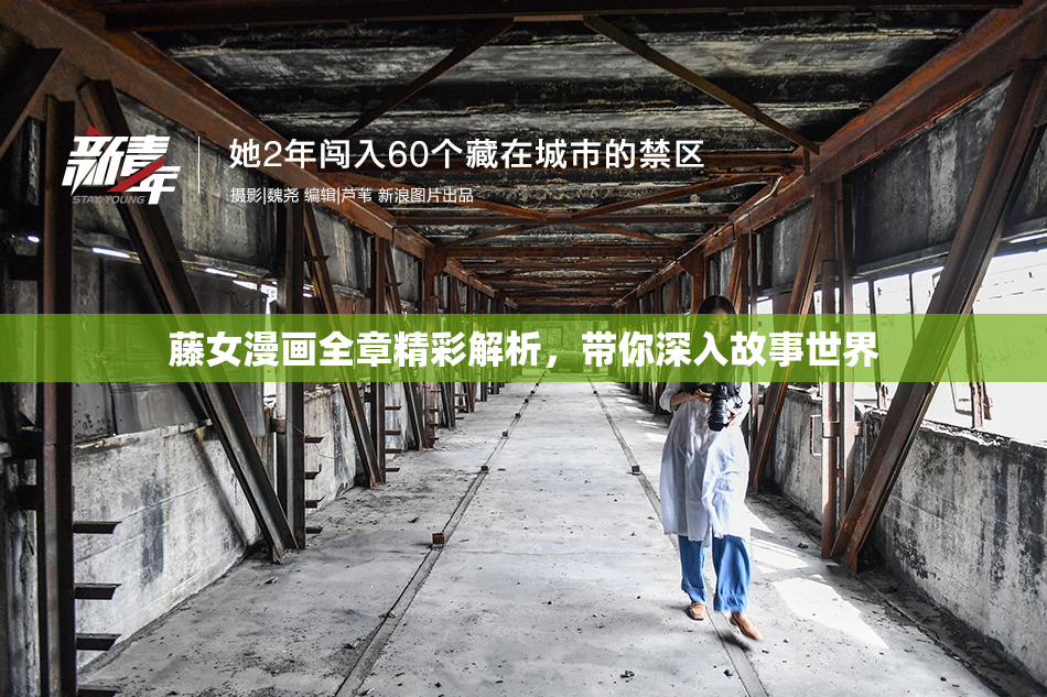 藤女漫画全章精彩解析，带你深入故事世界