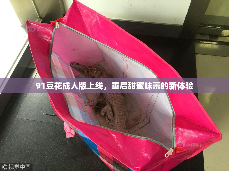 91豆花成人版上线，重启甜蜜味蕾的新体验