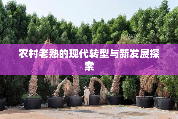 农村老熟的现代转型与新发展探索