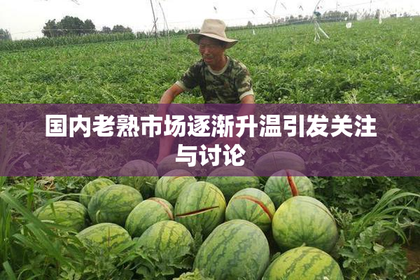 国内老熟市场逐渐升温引发关注与讨论