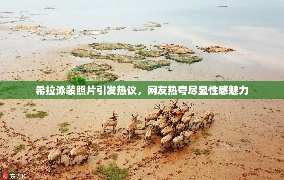 希拉泳装照片引发热议，网友热夸尽显性感魅力