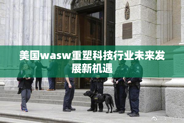 美国wasw重塑科技行业未来发展新机遇