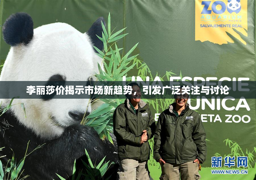 李丽莎价揭示市场新趋势，引发广泛关注与讨论