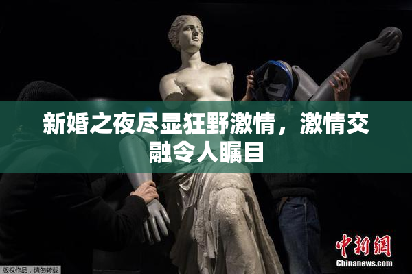 新婚之夜尽显狂野激情，激情交融令人瞩目