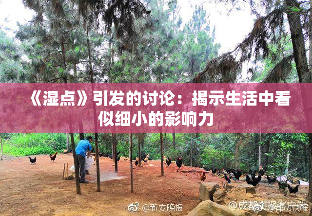 《湿点》引发的讨论：揭示生活中看似细小的影响力