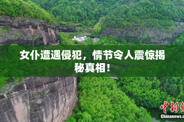 女仆遭遇侵犯，情节令人震惊揭秘真相！