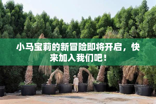 小马宝莉的新冒险即将开启，快来加入我们吧！