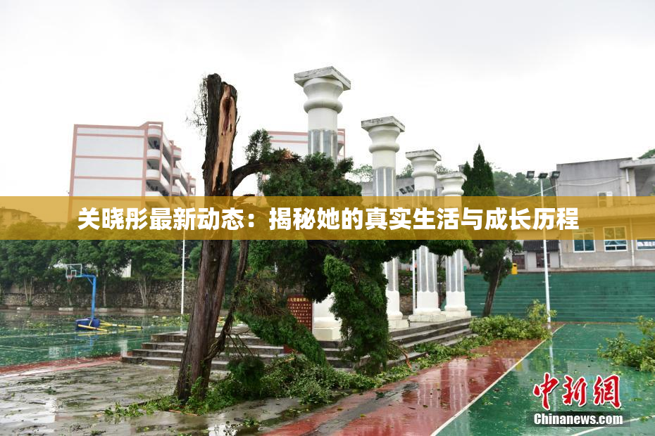 关晓彤最新动态：揭秘她的真实生活与成长历程