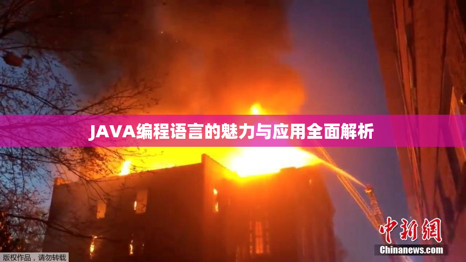 JAVA编程语言的魅力与应用全面解析
