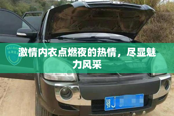 激情内衣点燃夜的热情，尽显魅力风采