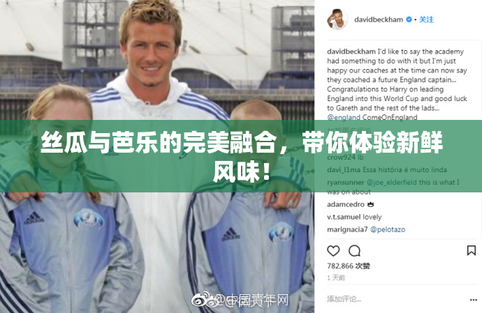 丝瓜与芭乐的完美融合，带你体验新鲜风味！