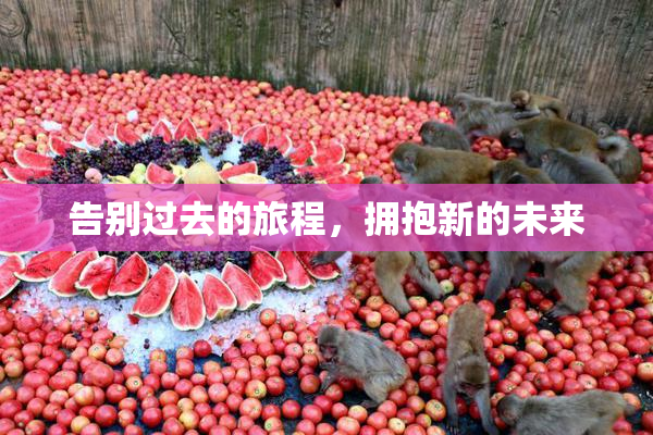 告别过去的旅程，拥抱新的未来