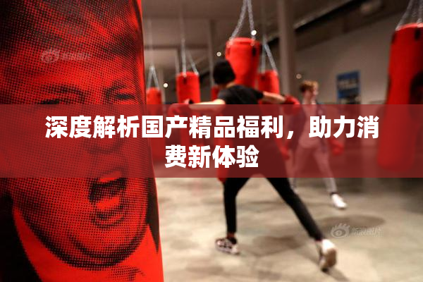 深度解析国产精品福利，助力消费新体验
