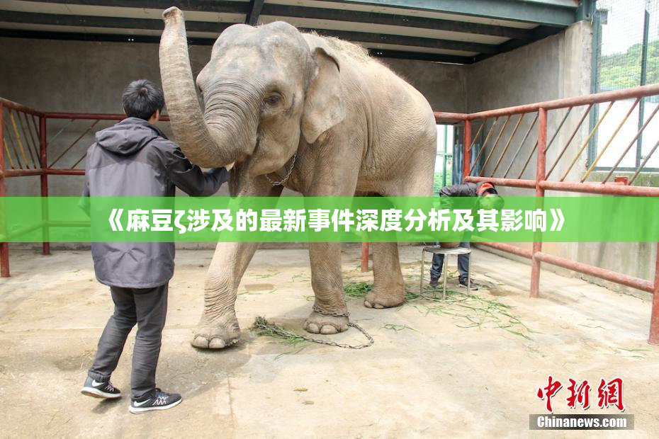 《麻豆ζ涉及的最新事件深度分析及其影响》