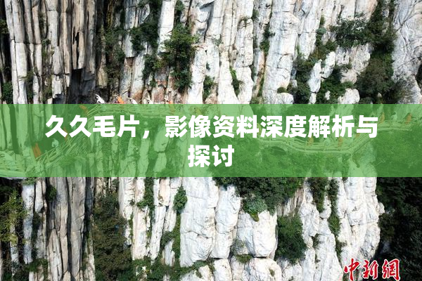 久久毛片，影像资料深度解析与探讨