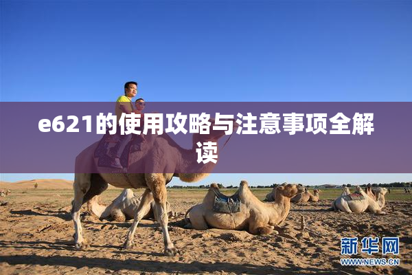 e621的使用攻略与注意事项全解读