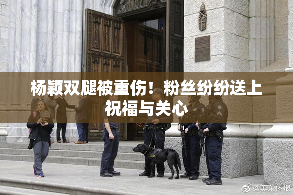 杨颖双腿被重伤！粉丝纷纷送上祝福与关心