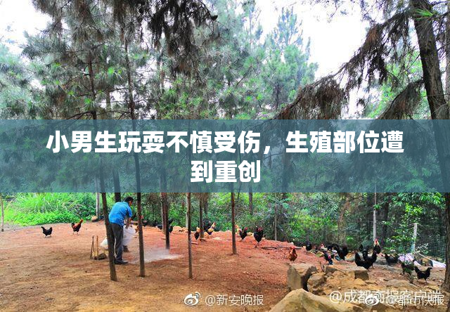 小男生玩耍不慎受伤，生殖部位遭到重创